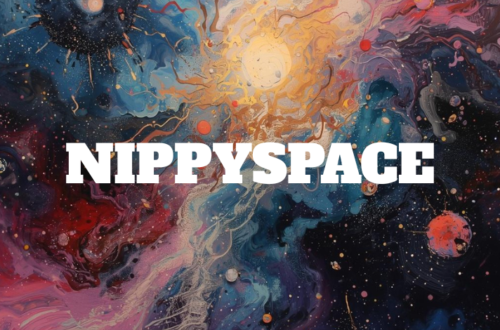 nippyspace