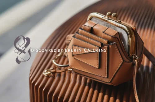 Erin Calkins $8 Purse Discovery